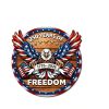 1 pc 250th anniversary of American independence, bald eagle commemorative wooden plaque, home porch decoration, wooden hanging board