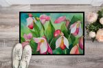 NEW Minnesota Pink and White Lady s Slippers in Watercolor Doormat Front Door Mat Indoor Outdoor Rugs for Entryway, Non Slip Washable Low Pile