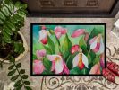 NEW Minnesota Pink and White Lady s Slippers in Watercolor Doormat Front Door Mat Indoor Outdoor Rugs for Entryway, Non Slip Washable Low Pile
