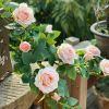 2pcs Rose Vine Flowers Garland Plant Artificial, Wall Hanging Flower Rattan Plant Leaf, Wedding, Home, Garden Decor