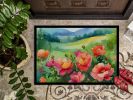 NEW Iowa Wild Prairie Roses in Watercolor Doormat Front Door Mat Indoor Outdoor Rugs for Entryway, Non Slip Washable Low Pile, 18H X 27W