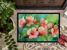 NEW Delaware Peach Blossom in Watercolor Doormat Front Door Mat Indoor Outdoor Rugs for Entryway, Non Slip Washable Low Pile, 18H X 27W
